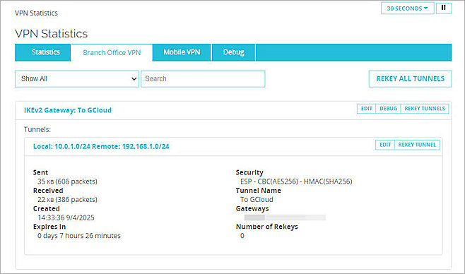 Screenshot of VPN status verify